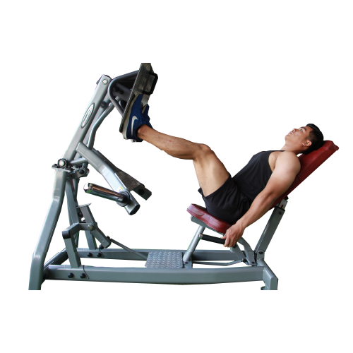 Leg Press